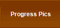 Progress Pics